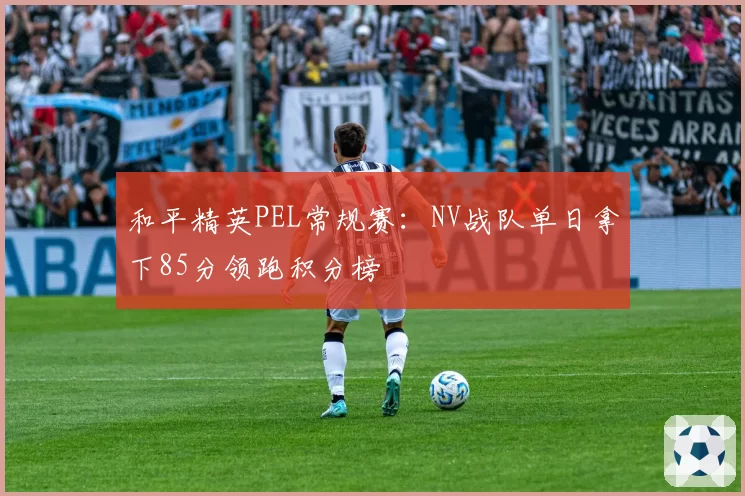 和平精英PEL常规赛:NV战队单日拿下85分领跑积分榜